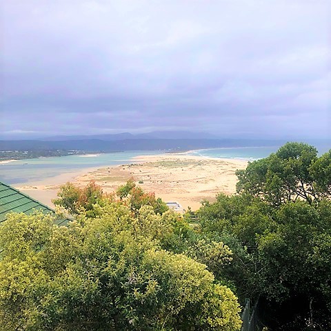 HILL STREET 24 - ELDER